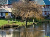 Royal Bournemouth Hospital Lake