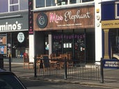 Miss Elephant