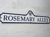 Rosemary Alley