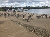 Fairlop Waters Country Park