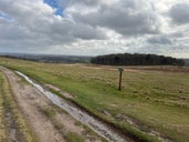 Bradgate Park