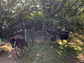 The Camel Trail - Padstow