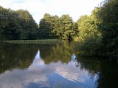 Gobions Pond
