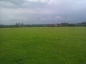 Saxon Field