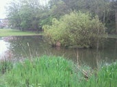 Blatchington Pond