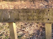 Kingsthorpe Nature Reserve