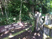 West Park Local Nature Reserve