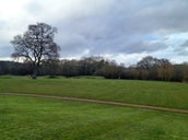 Bartley Park
