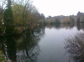 Faversham Duck Pond