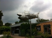 Walmer Bridge Stingray HQ Mechanical Fish