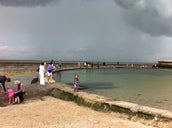 Minnis Bay Crabbing Pool