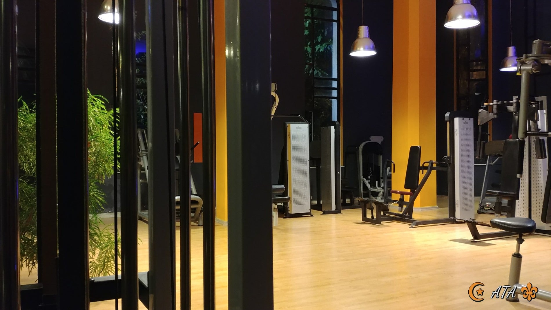 gym