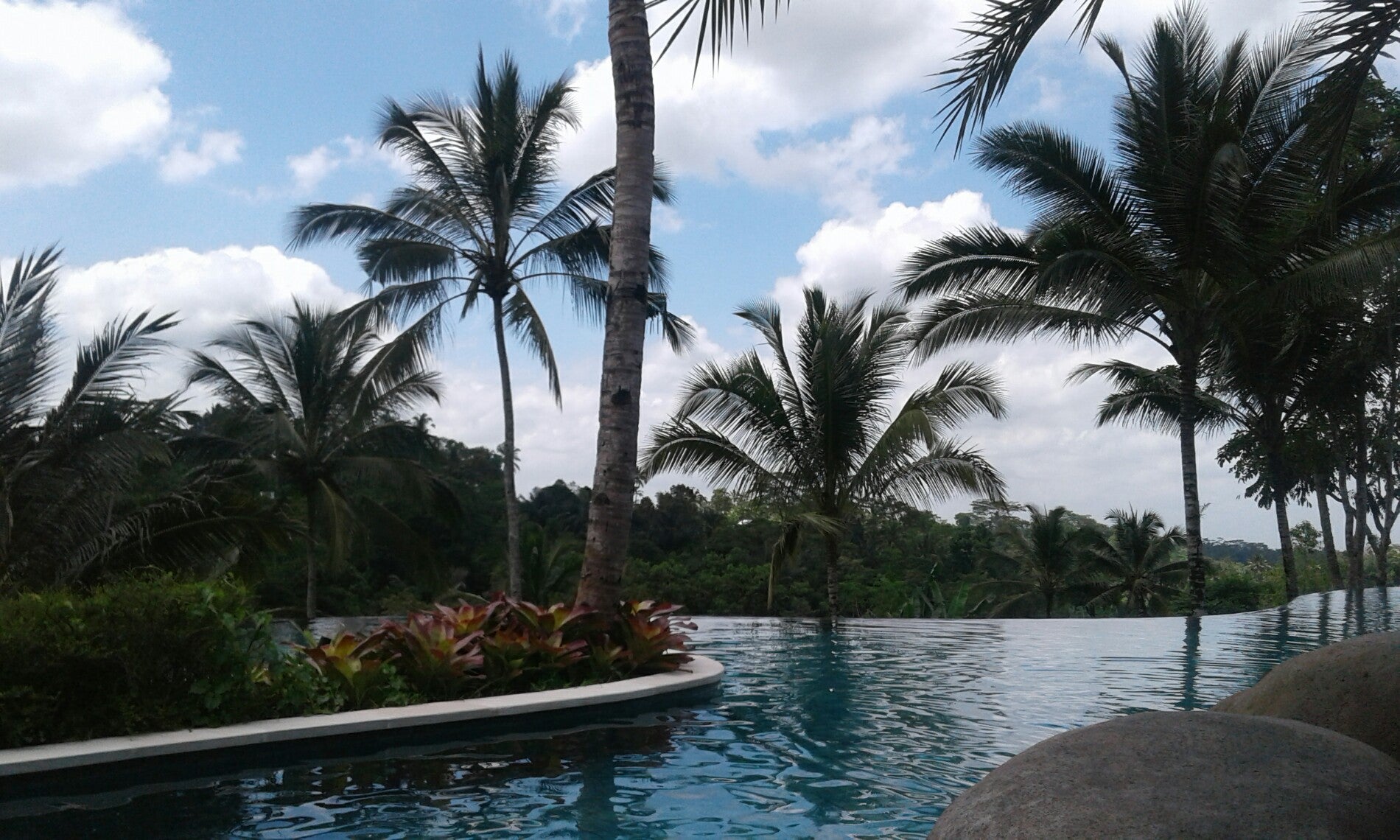 hotel-pool