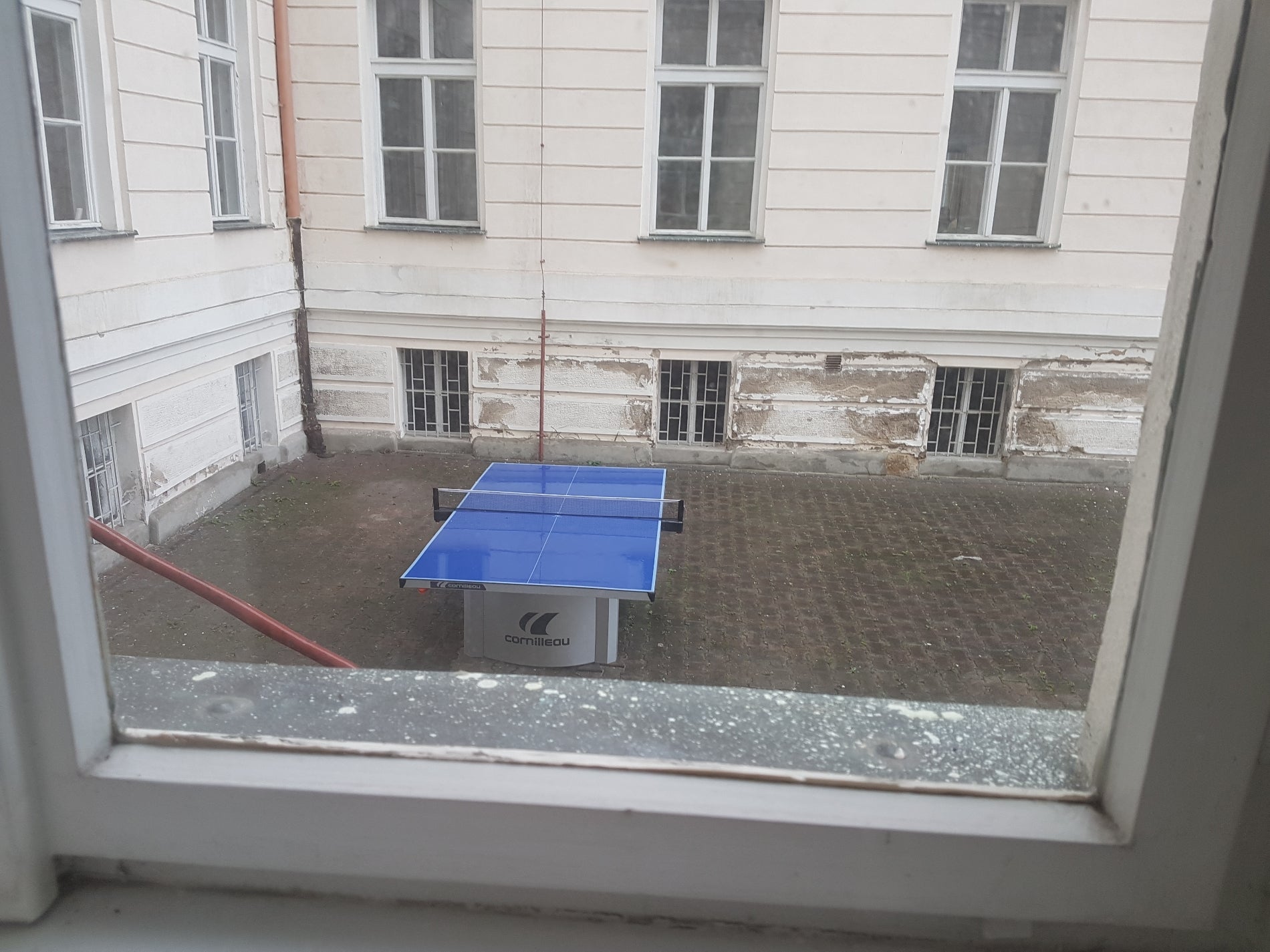 school