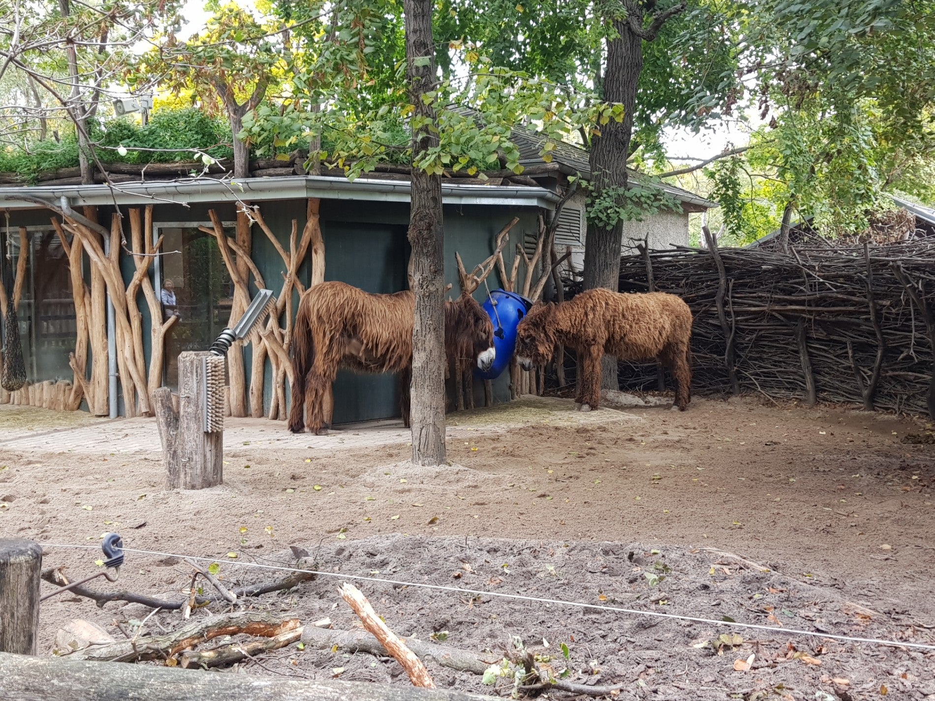 zoo-exhibit