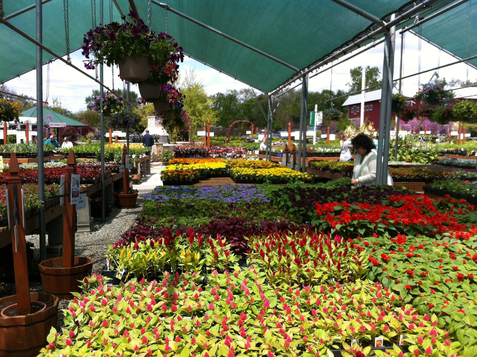flower-shop