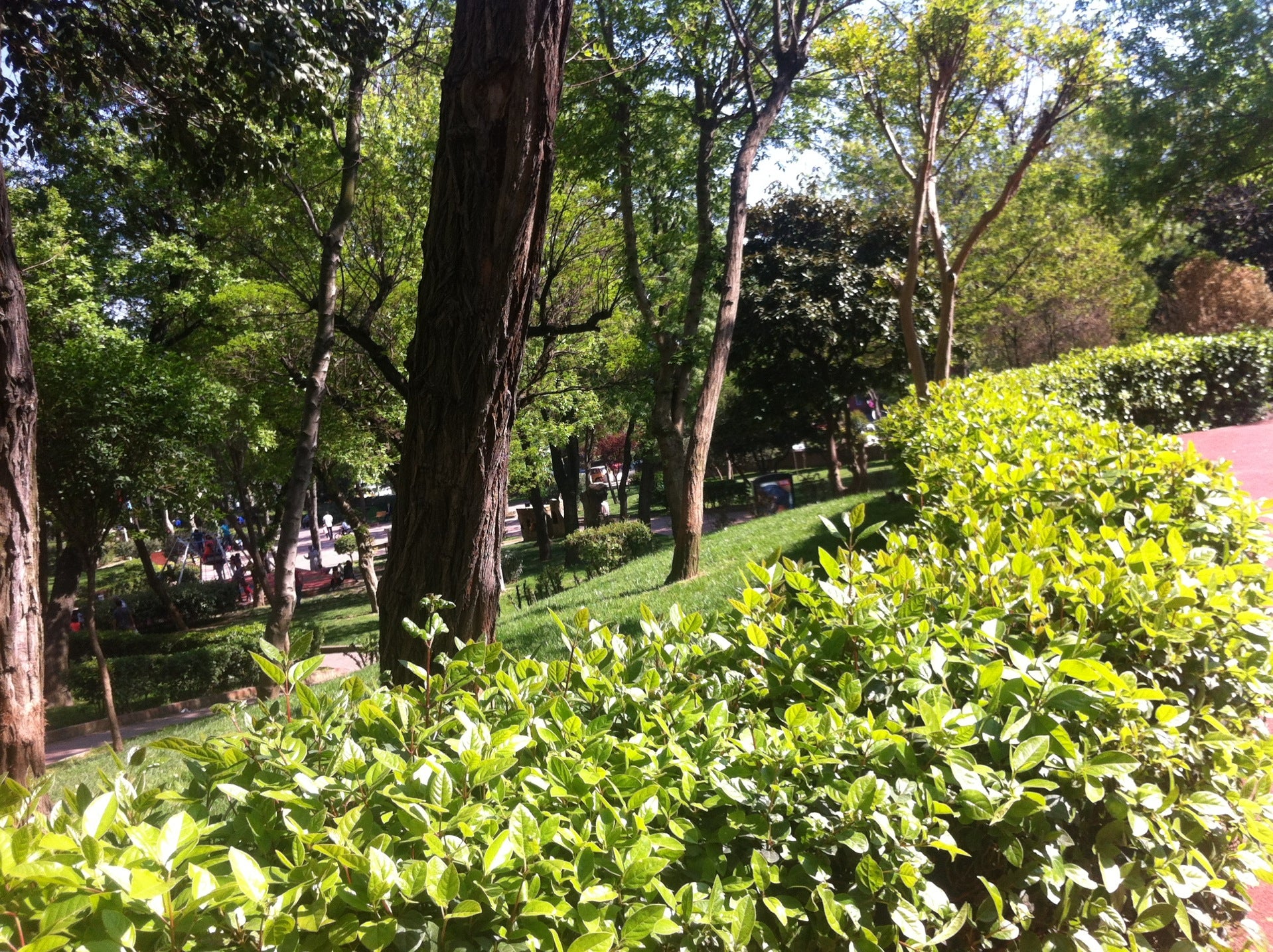park