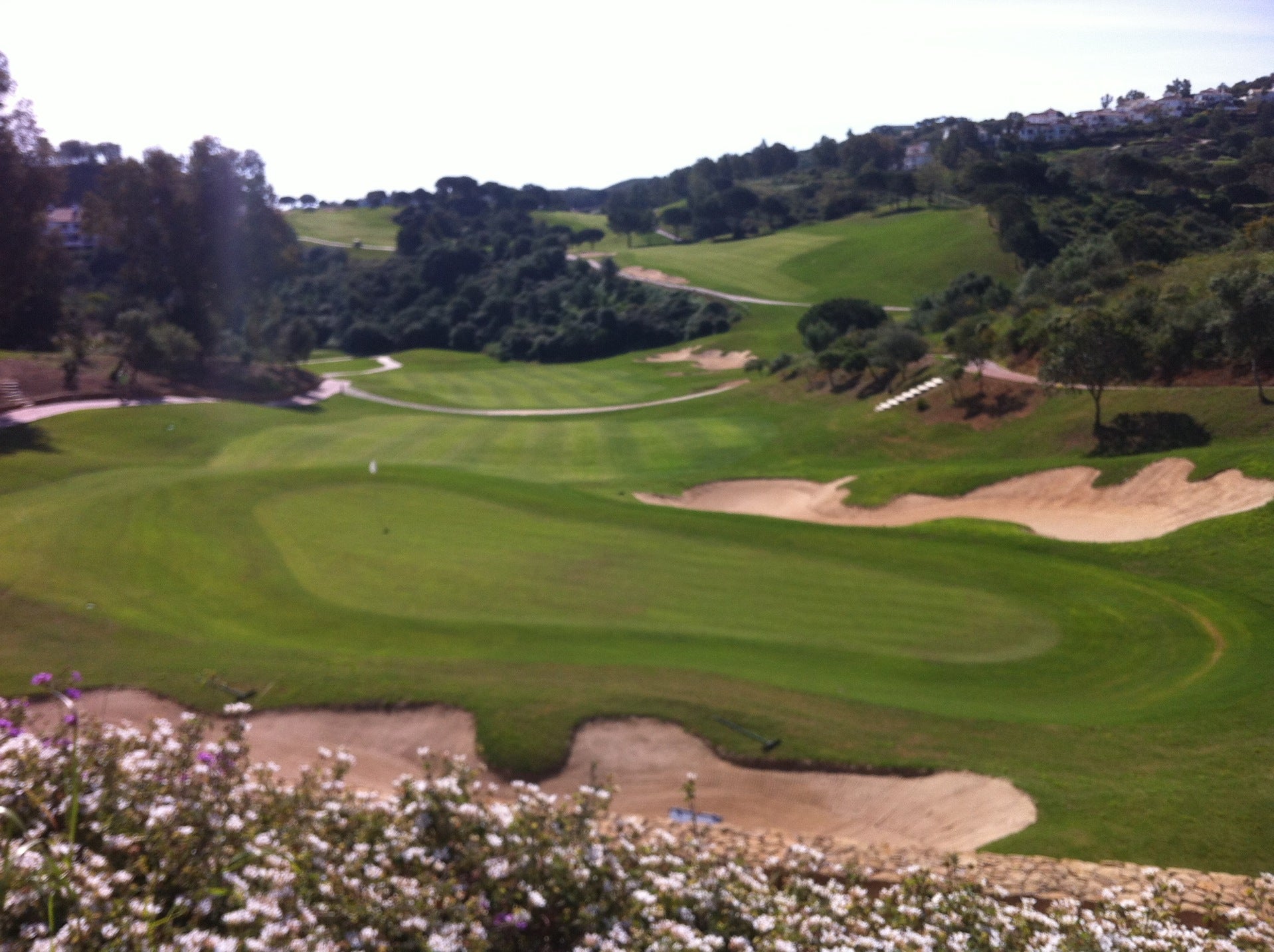 golf-course