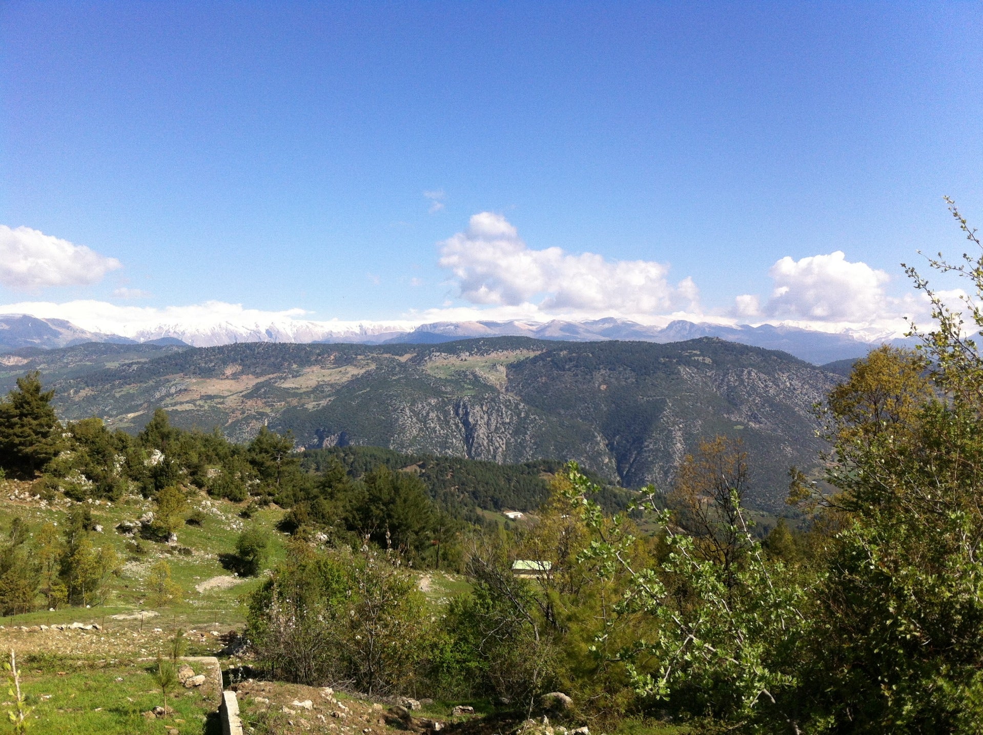 mountain