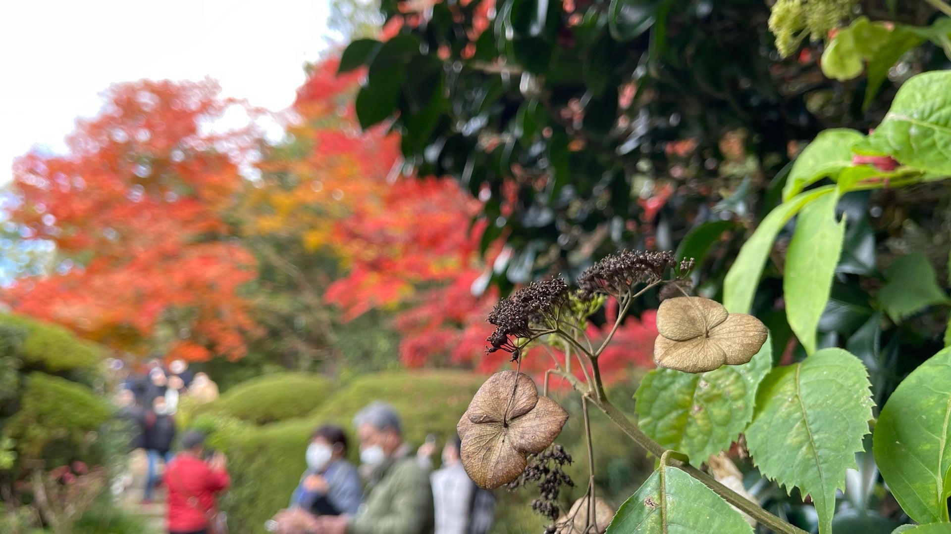 buddhist-temple