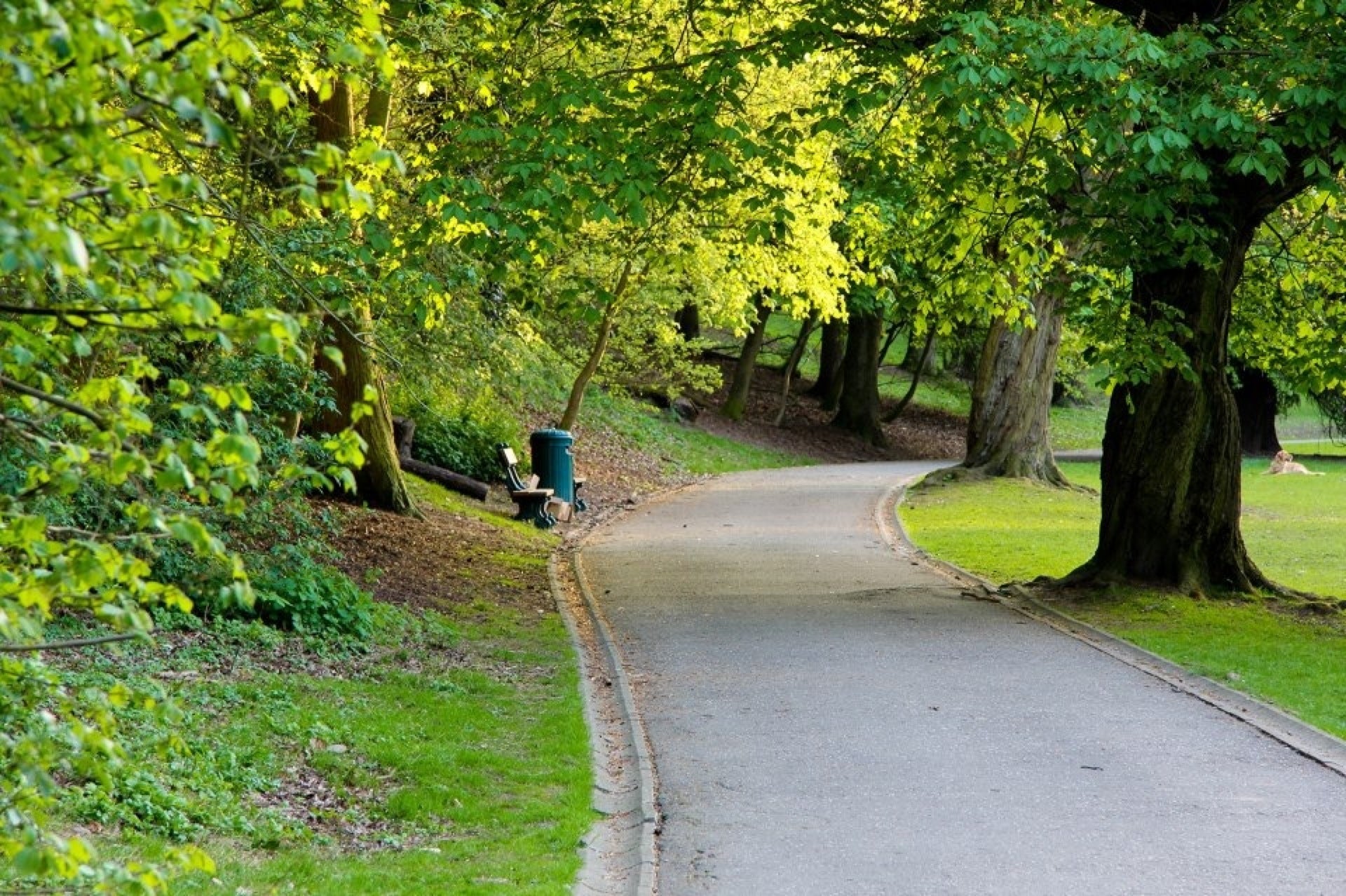 park