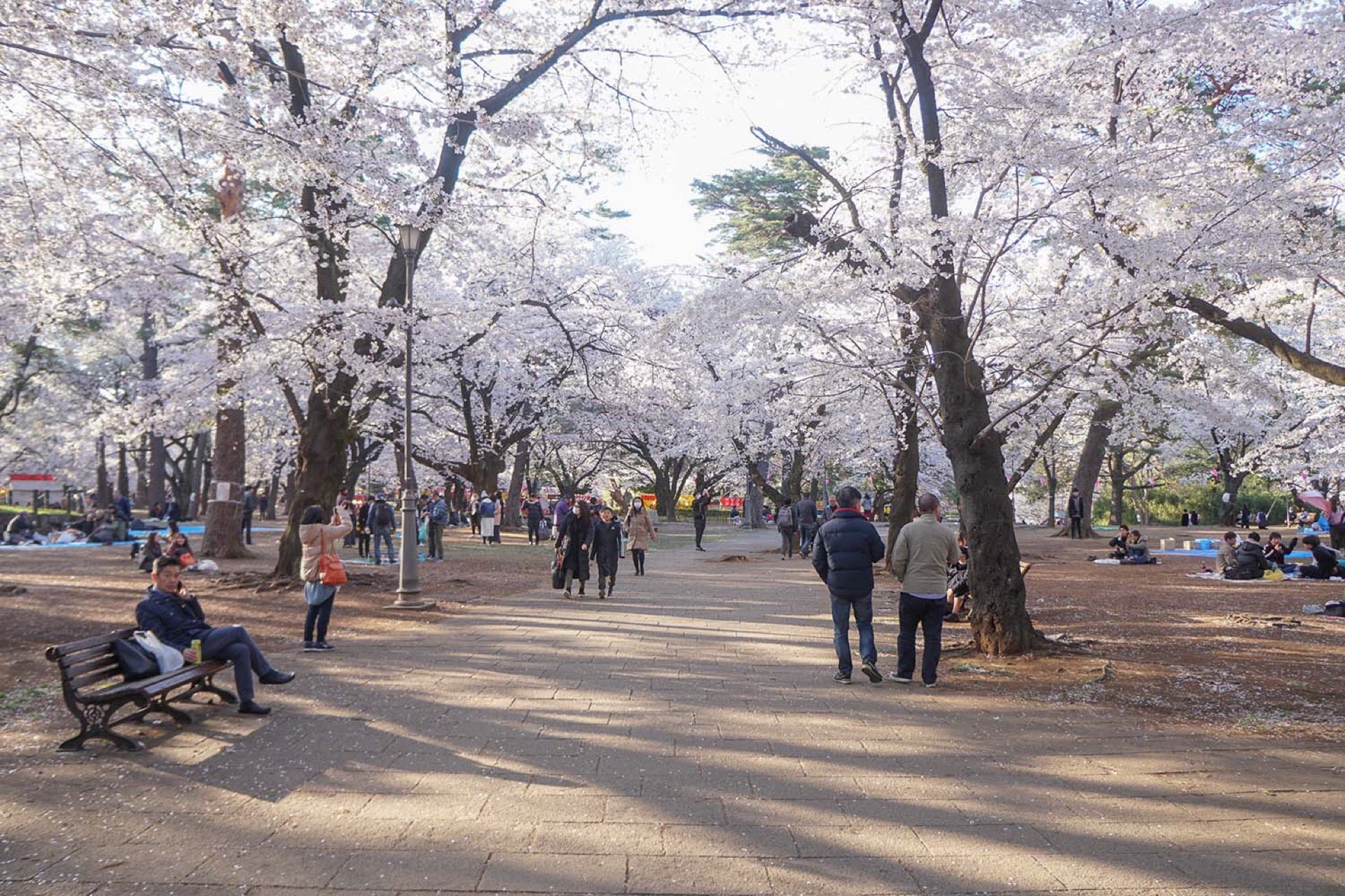 park