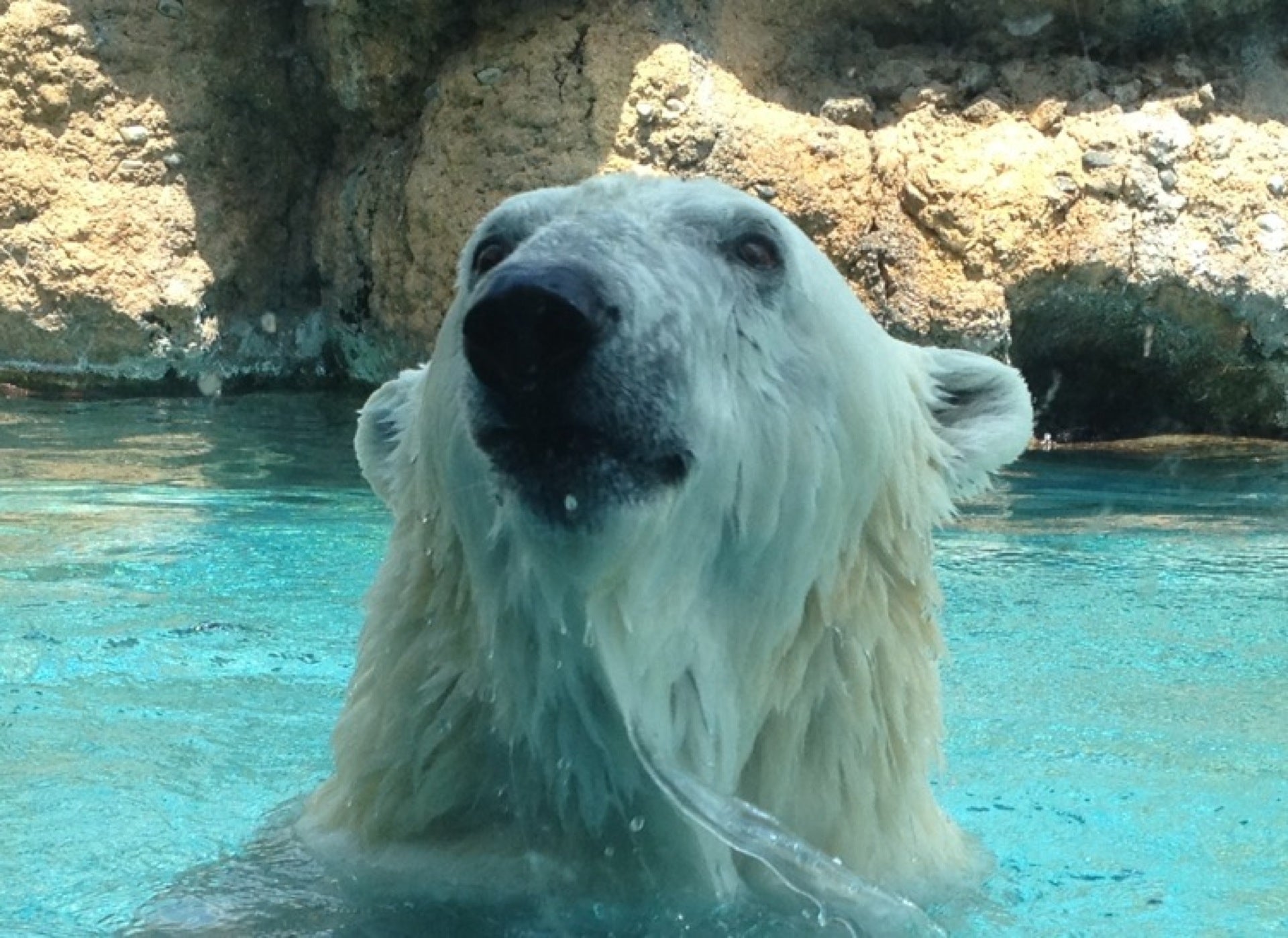 zoo