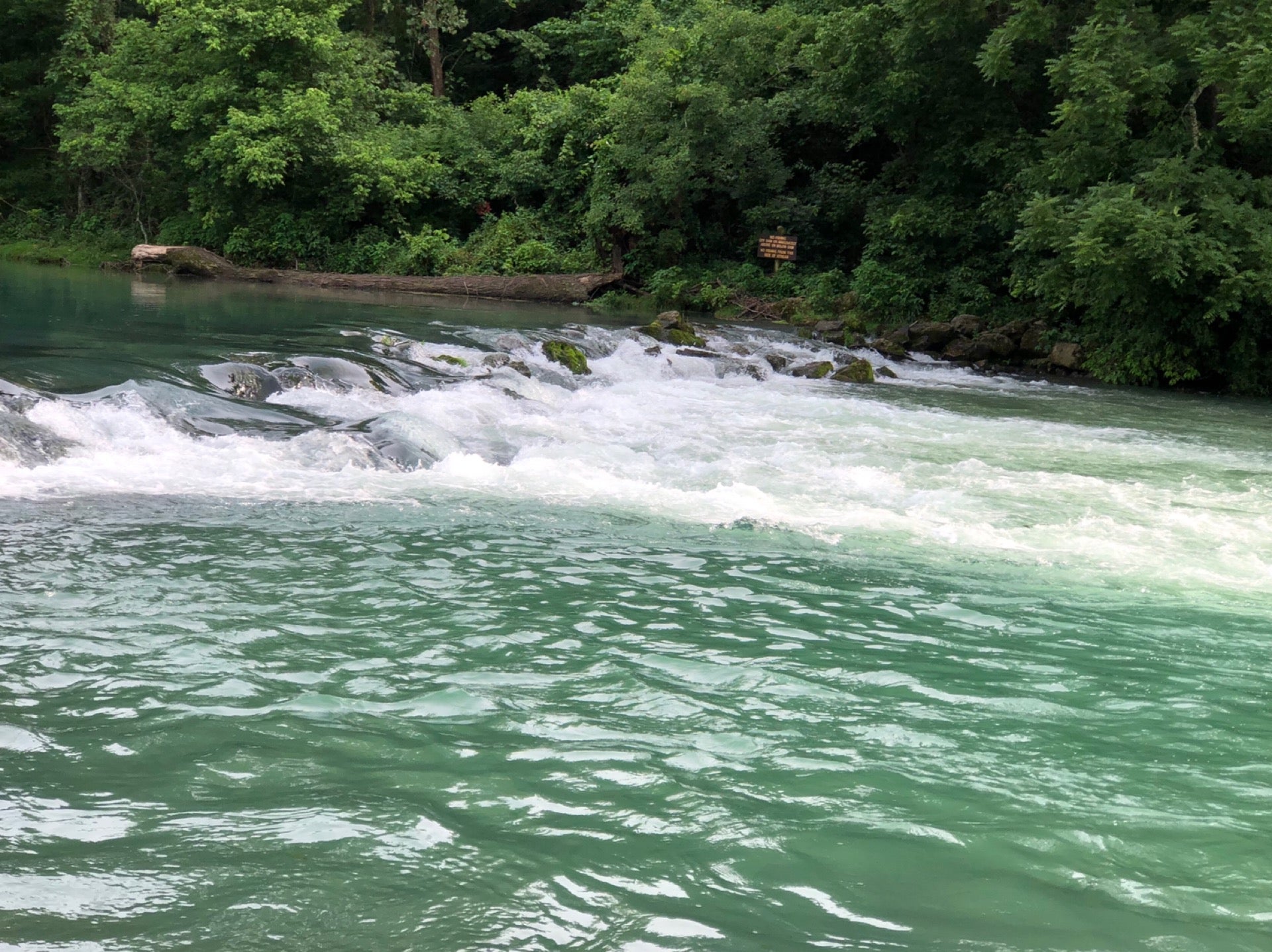 Spring State Park, Campground at Laclede