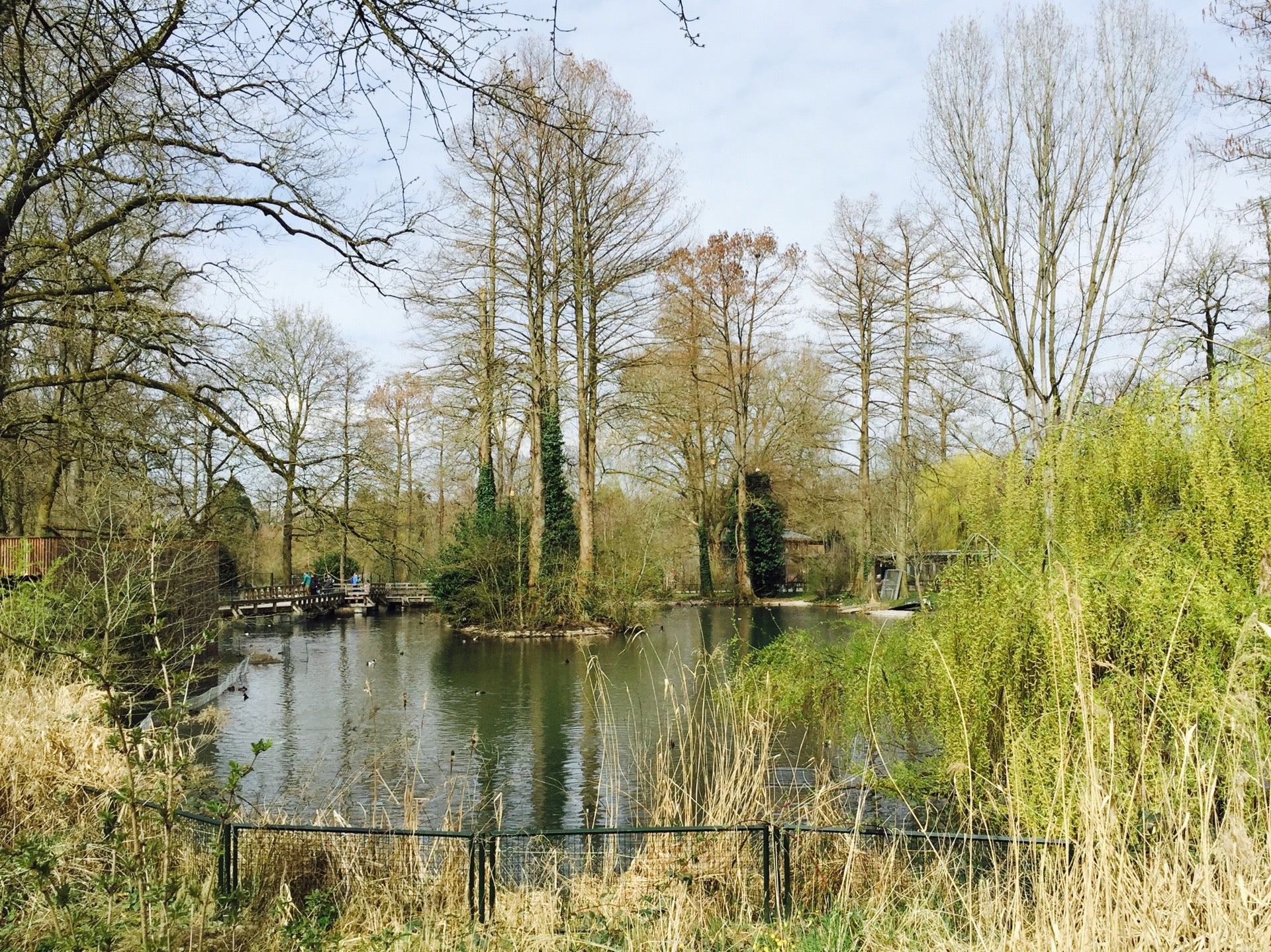 park