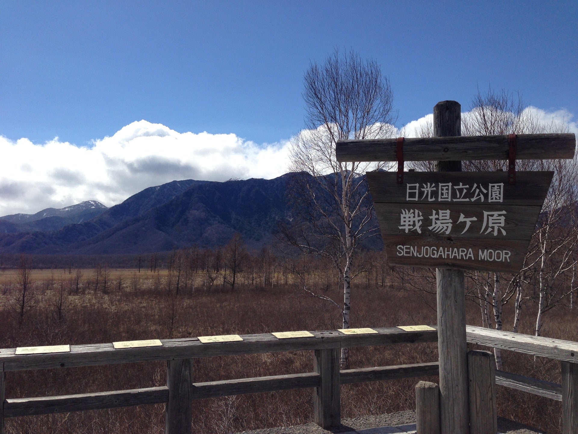 nature-preserve