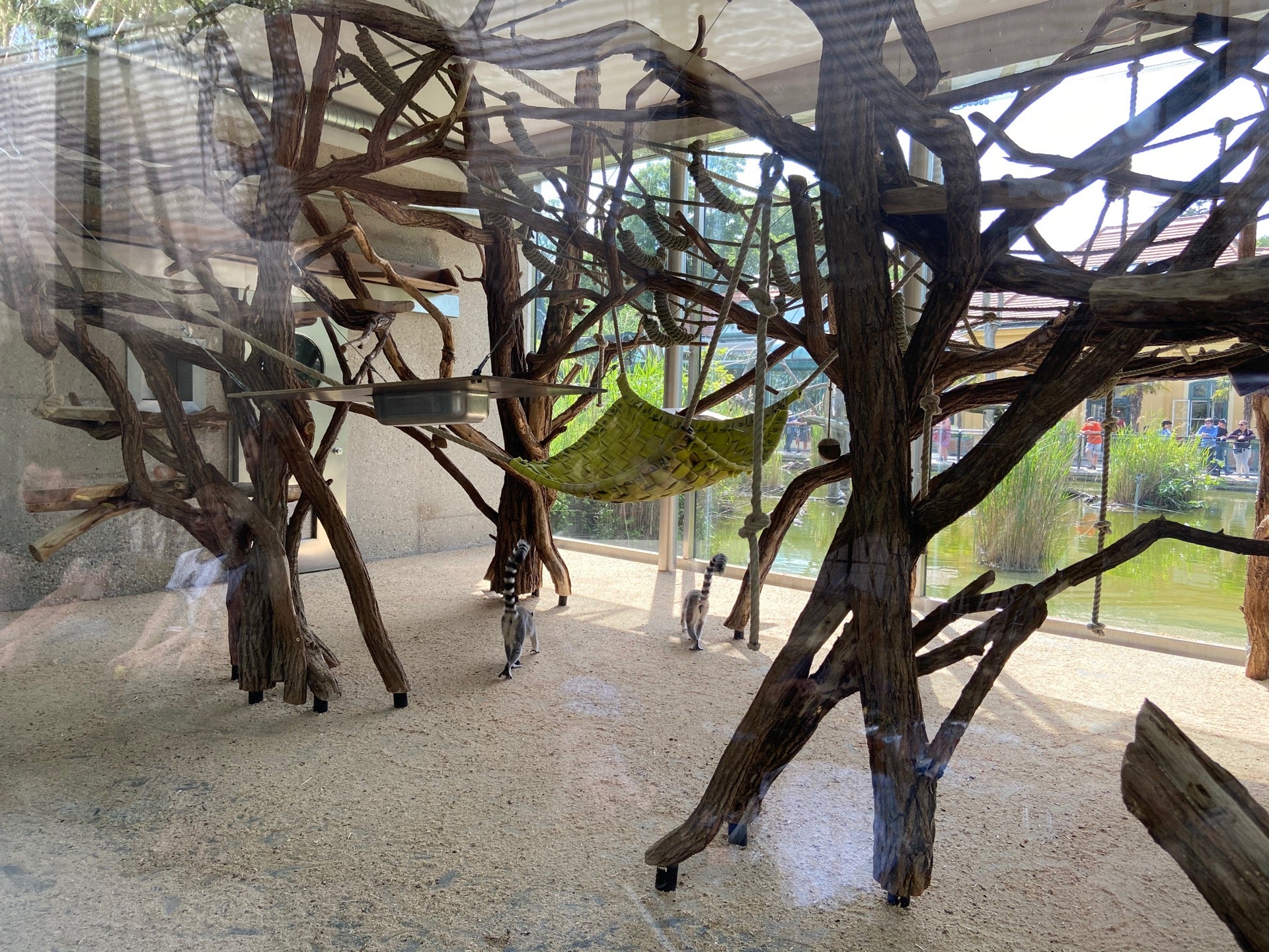 zoo-exhibit