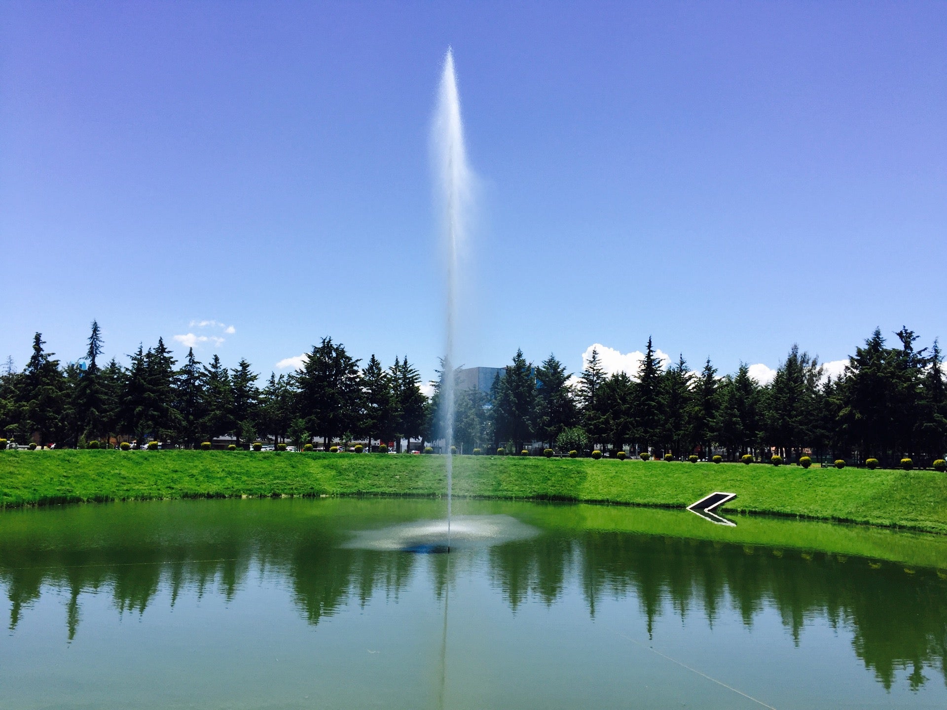 park