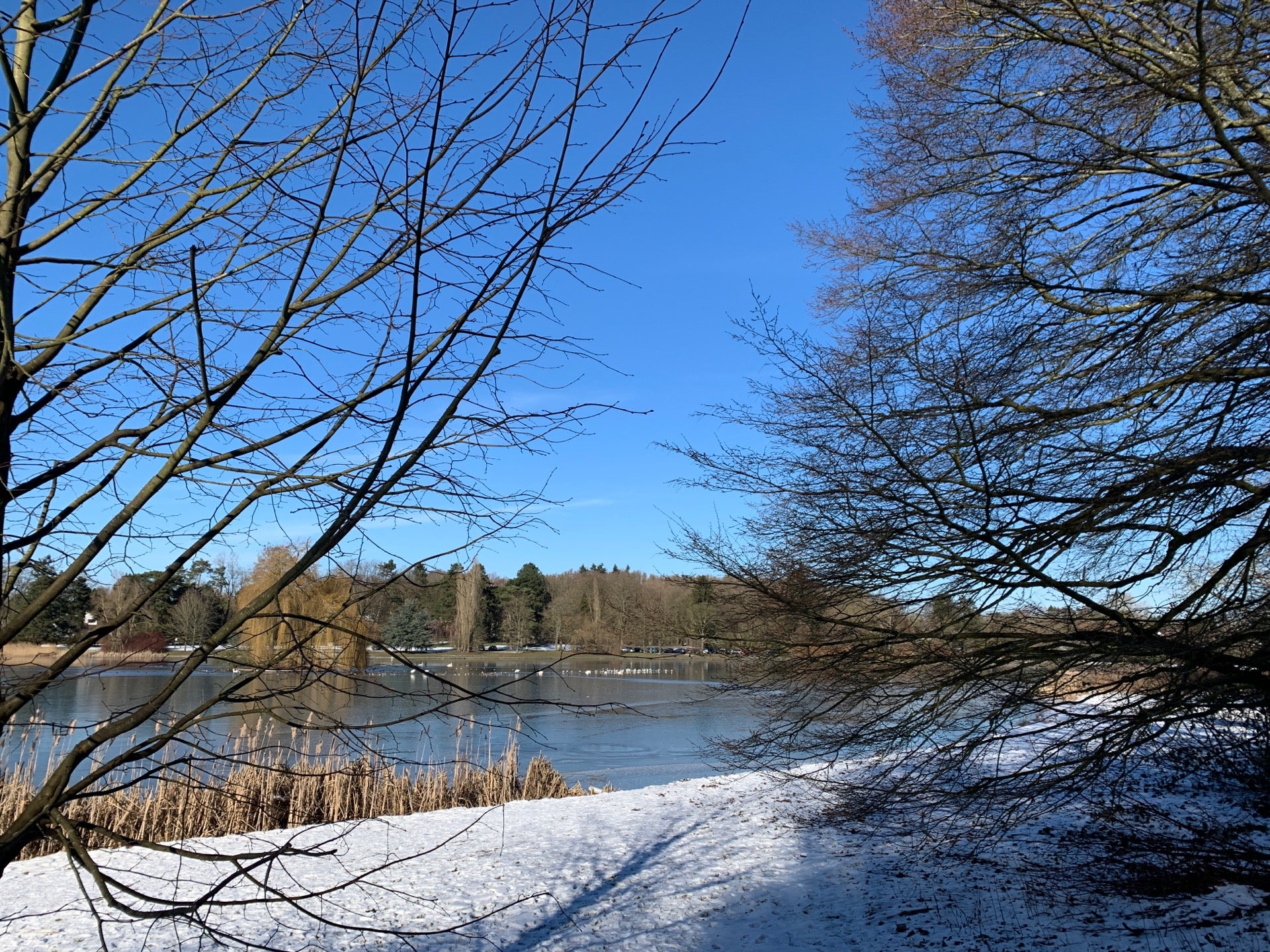 lake