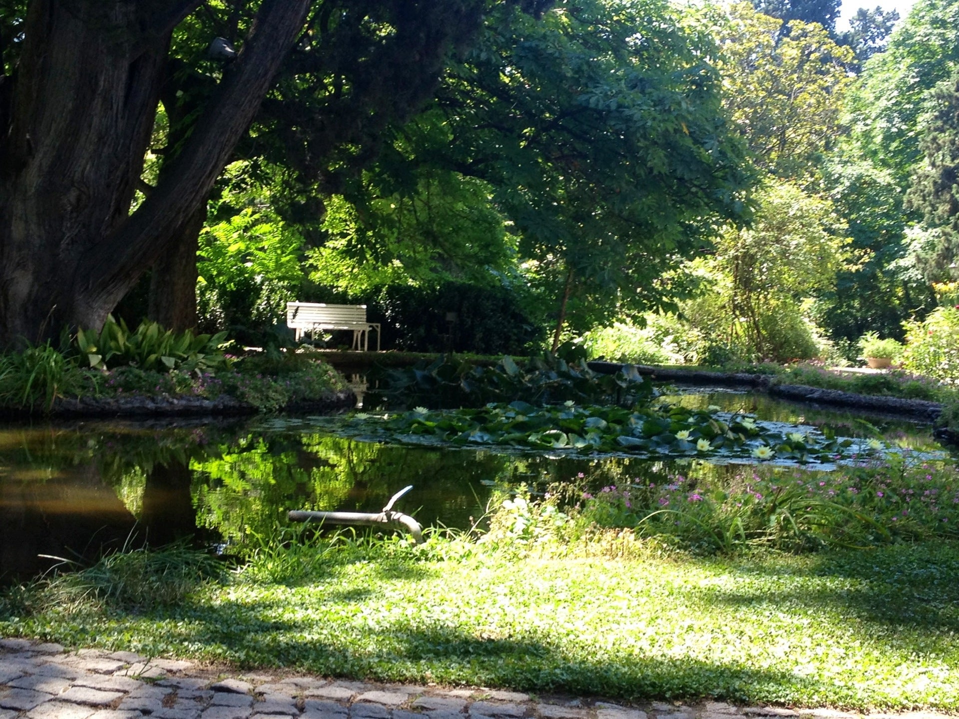 garden