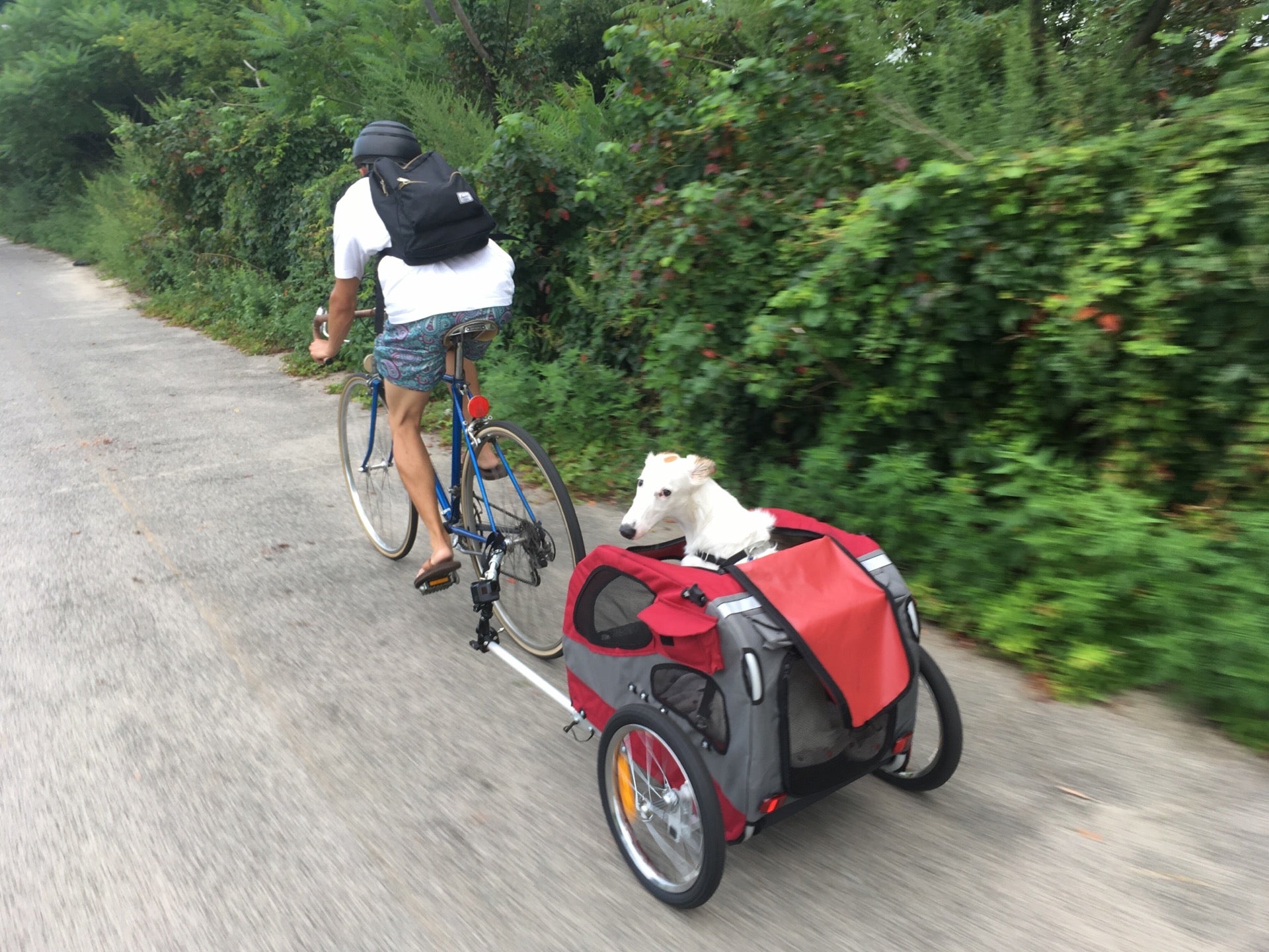 bike-trail