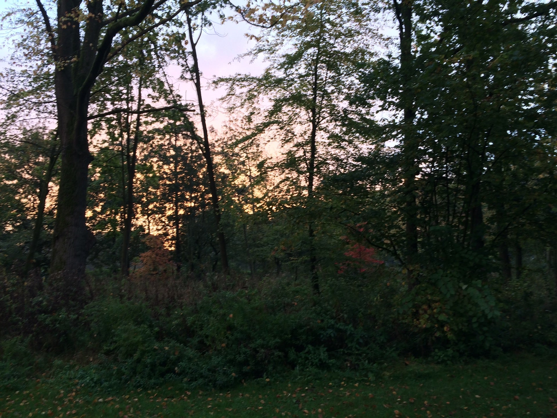 park