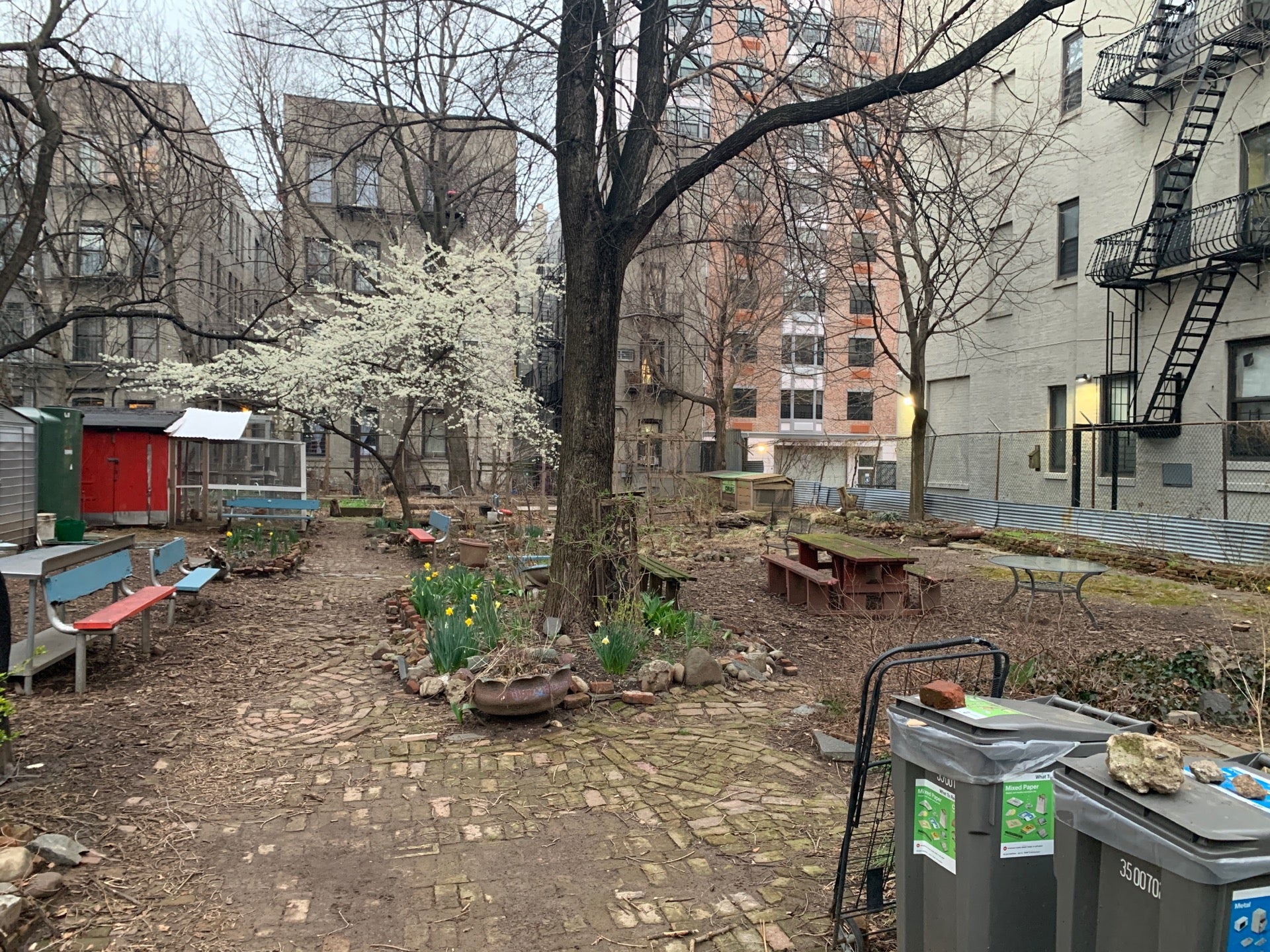 photo of Walt L. Shamel / North Dean Community Garden