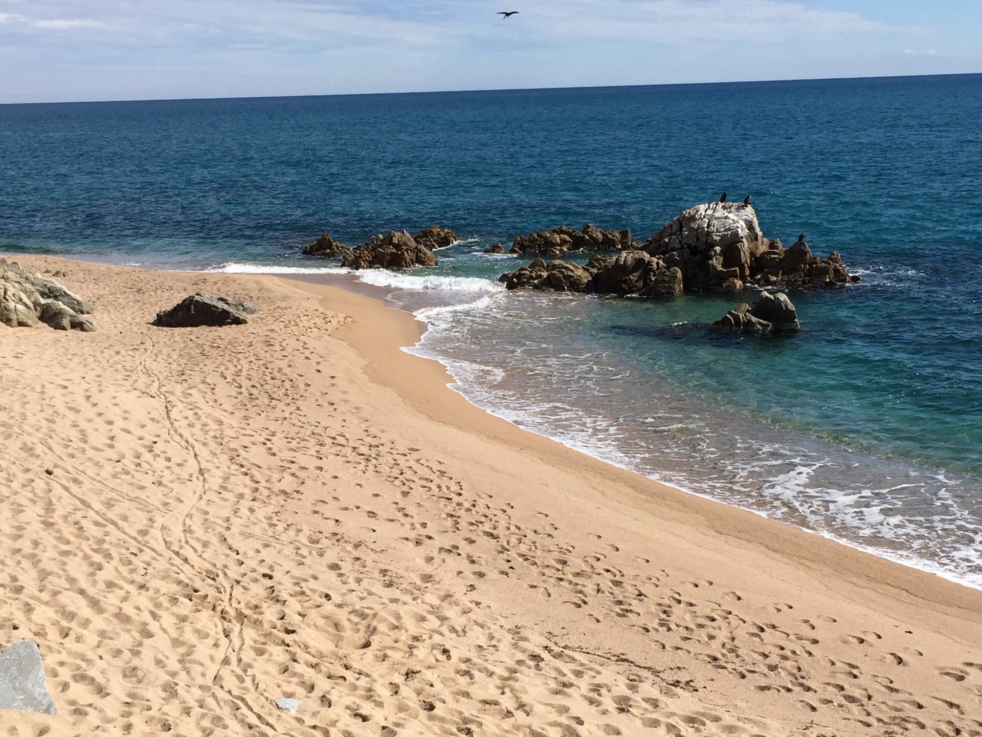 beach