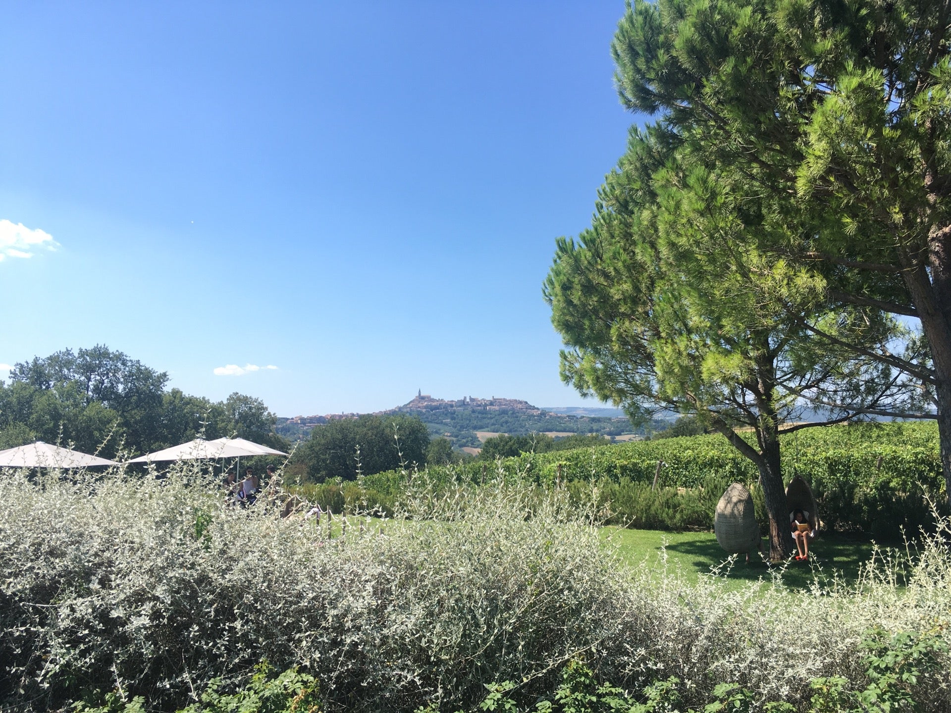 winery