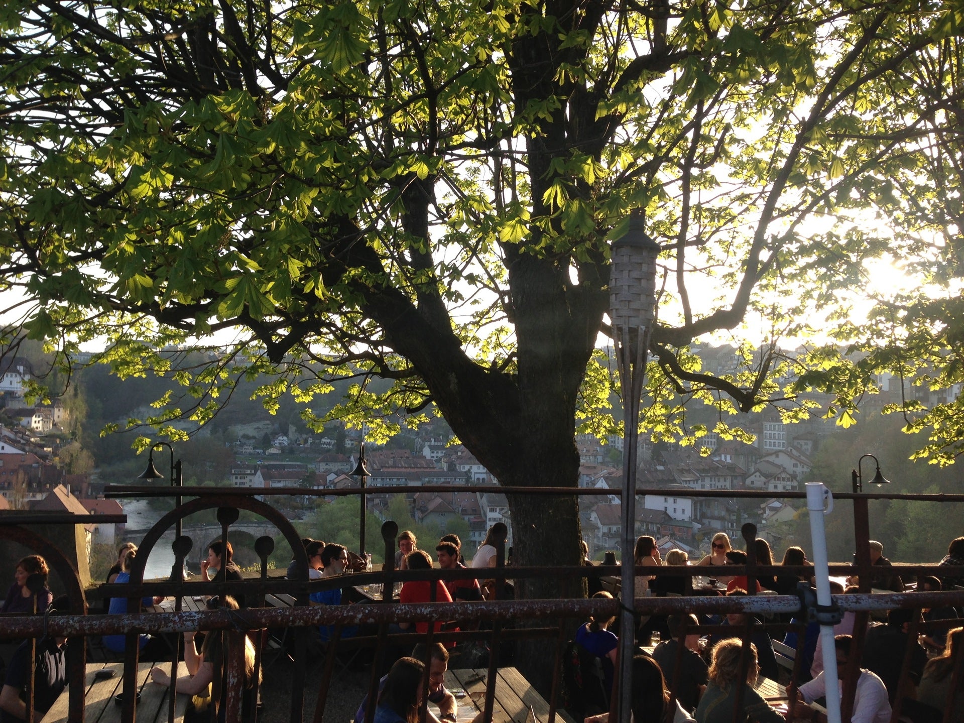 beer-garden