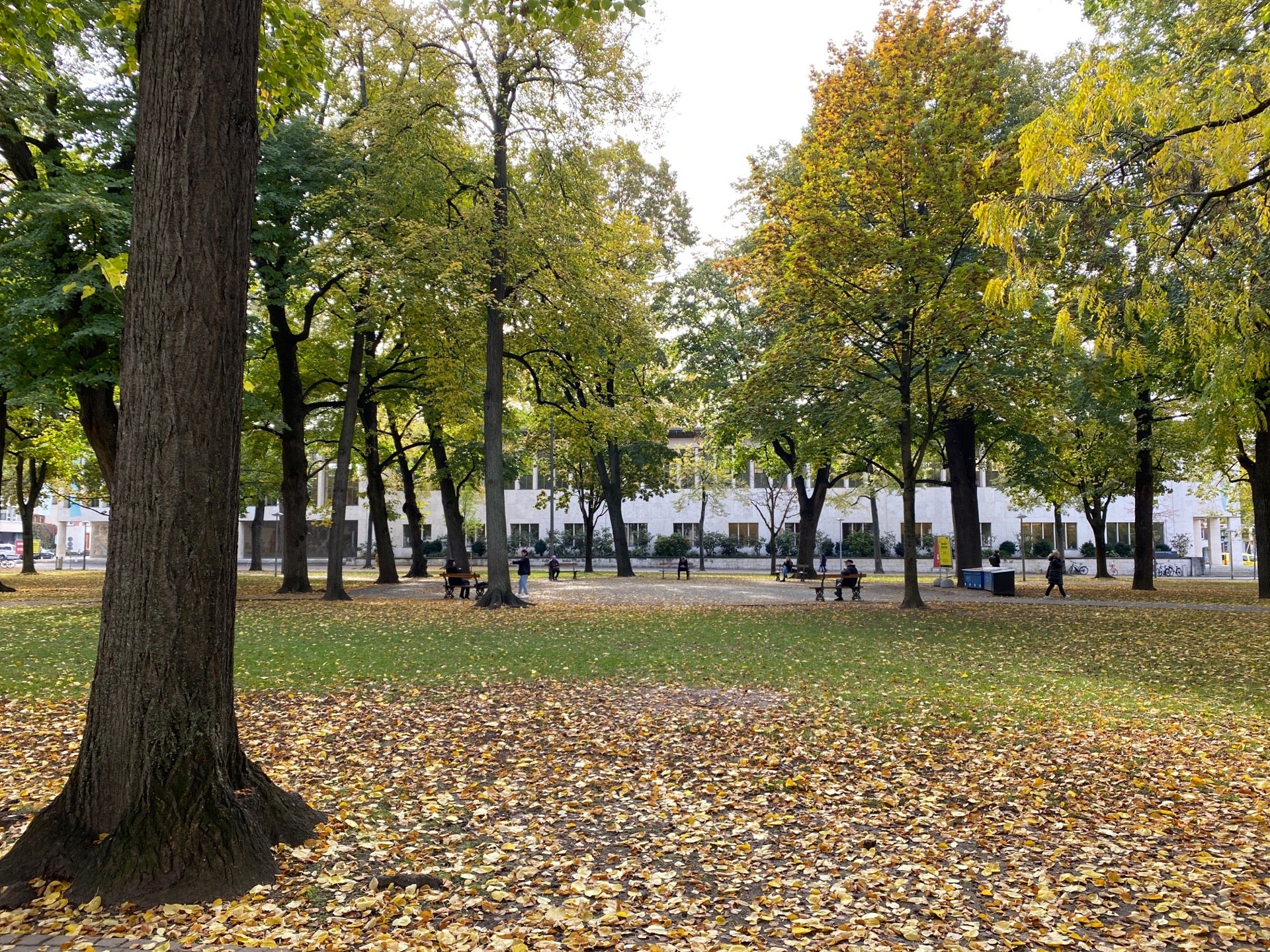 plaza