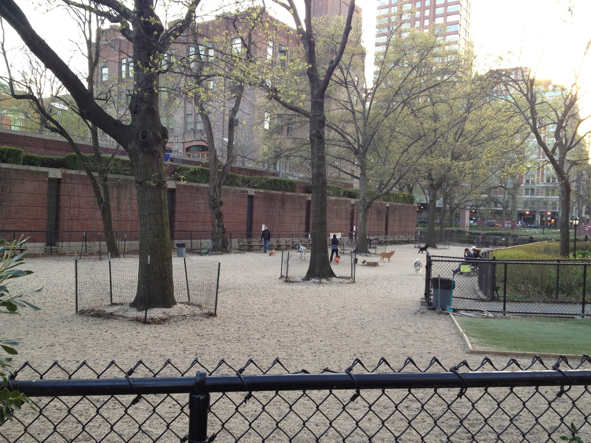 dog-run