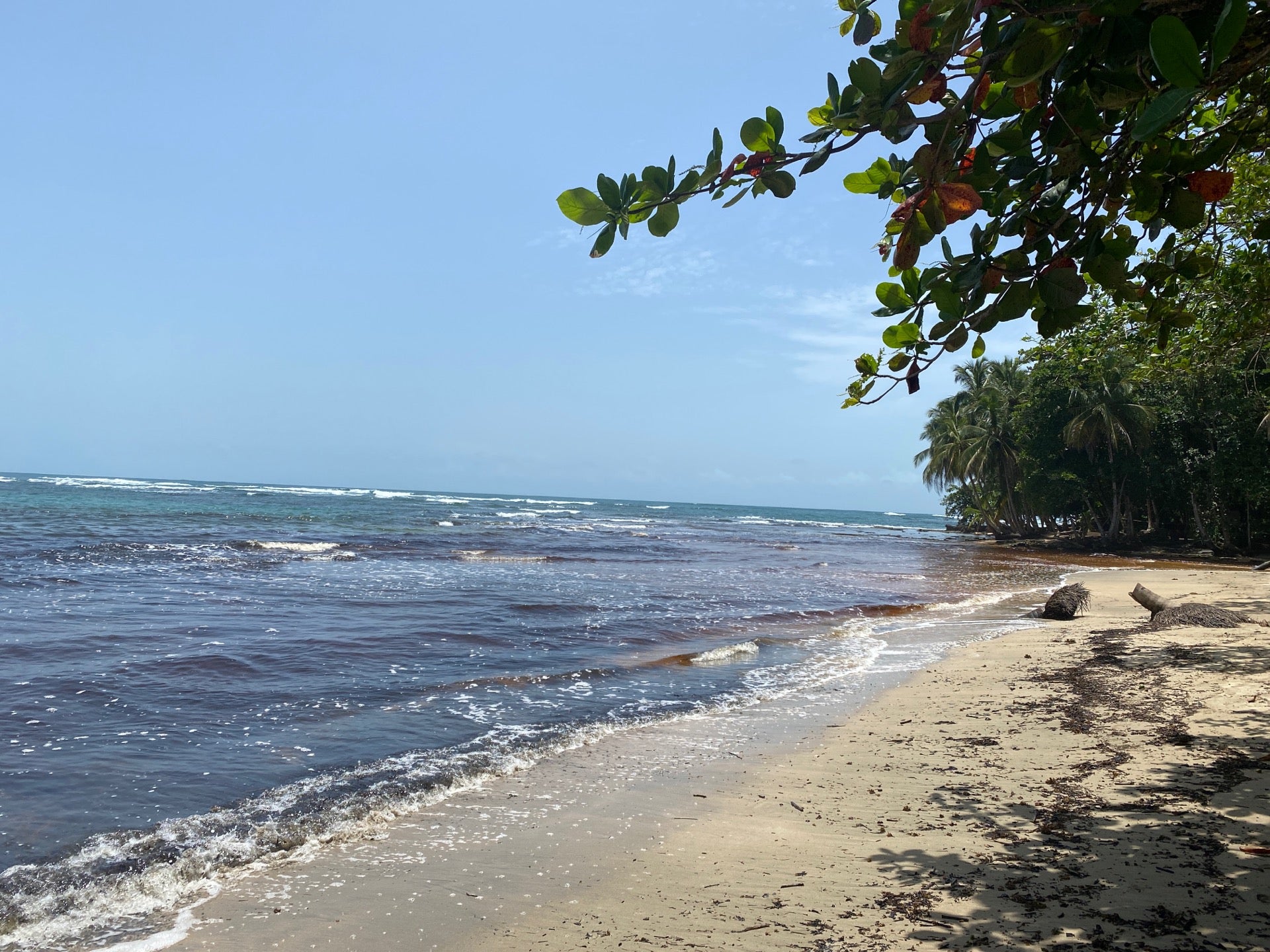 surf-spot