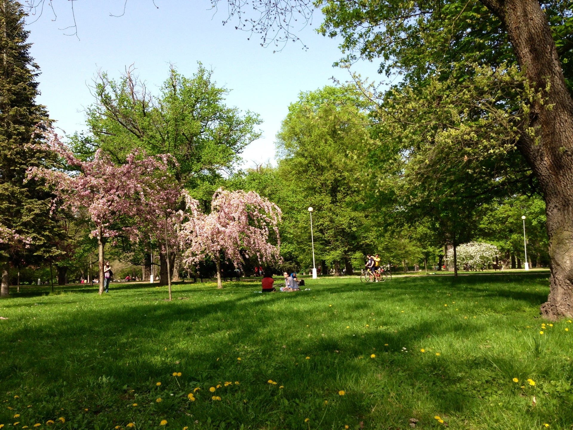 park