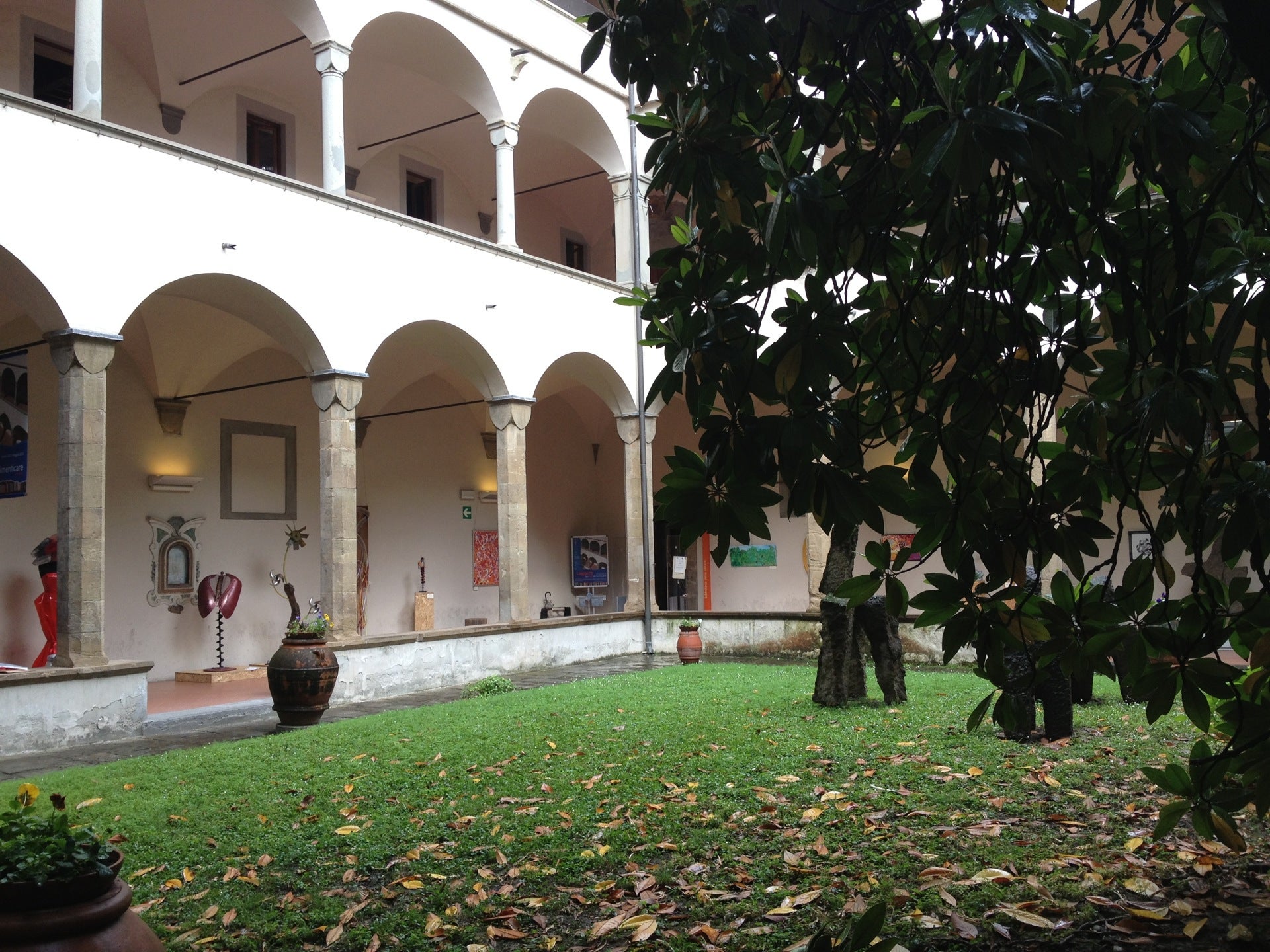 library