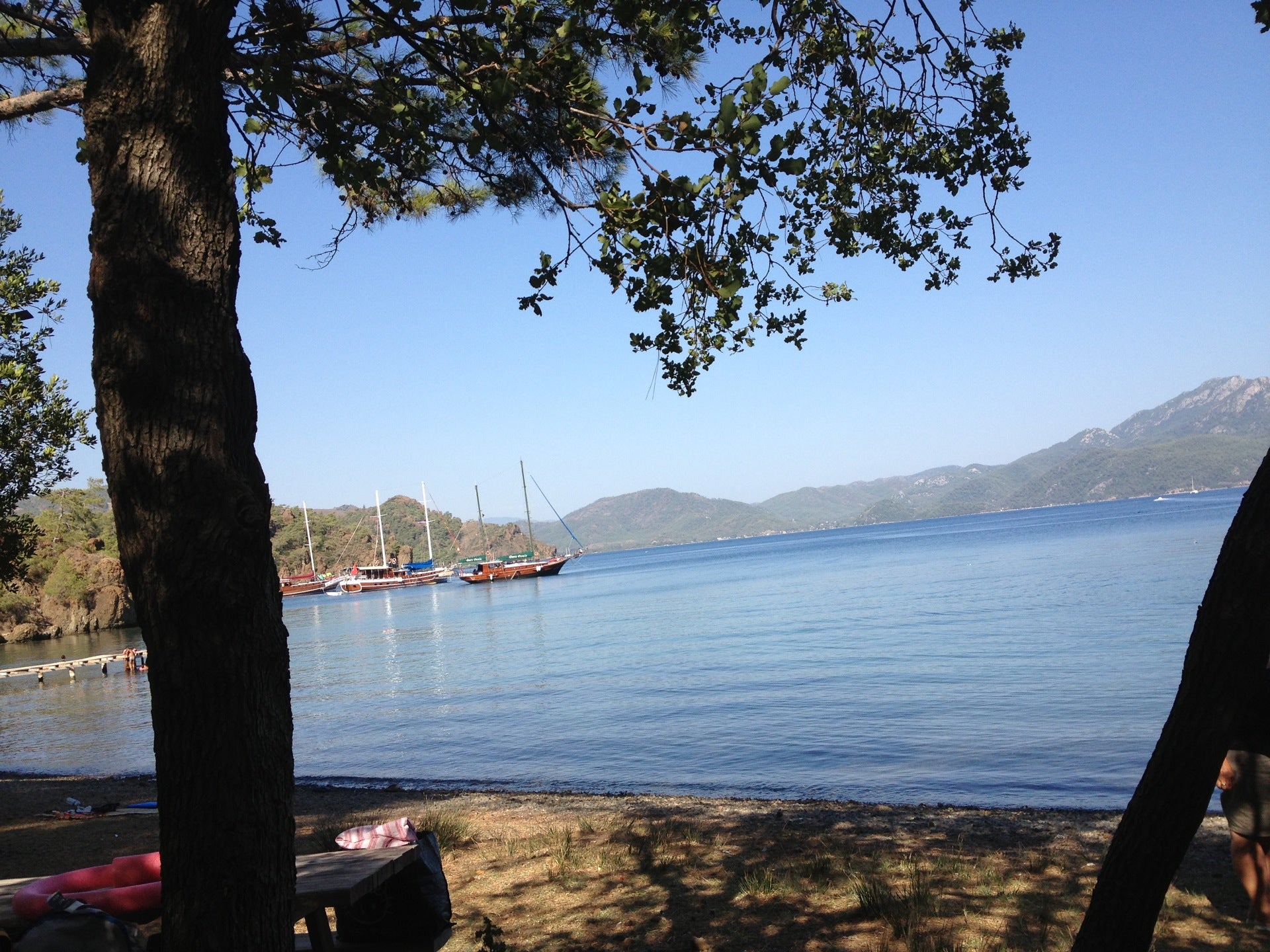 bay