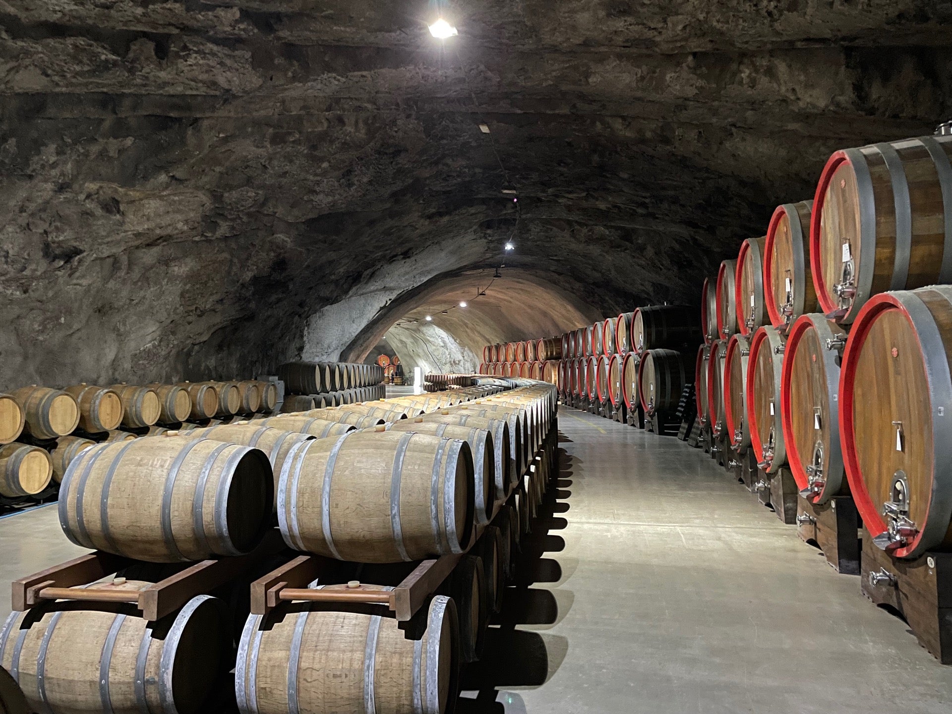 vineyard