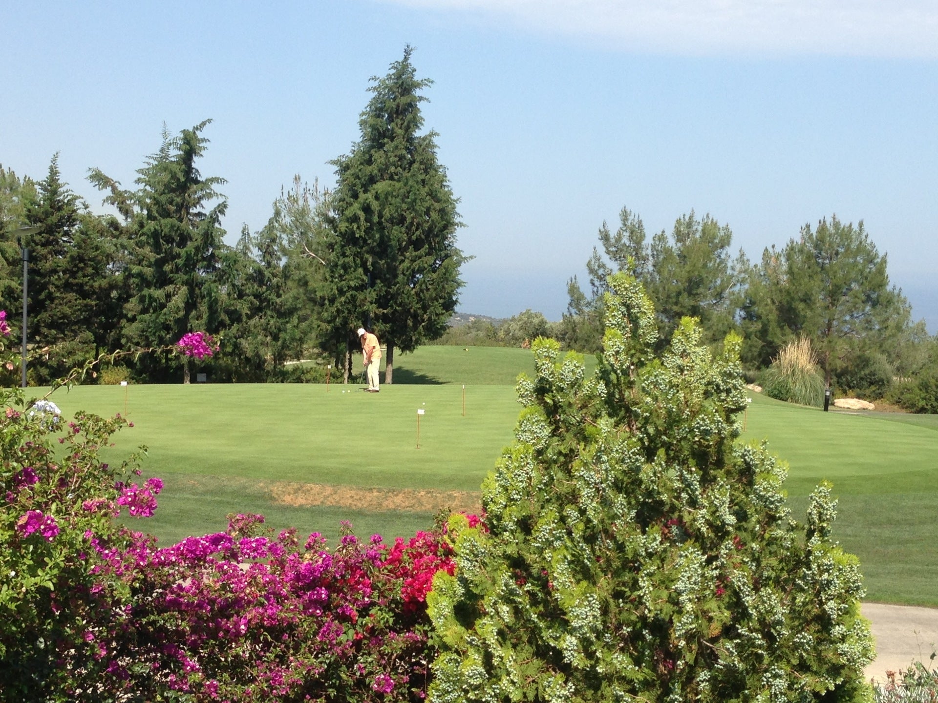 golf-course