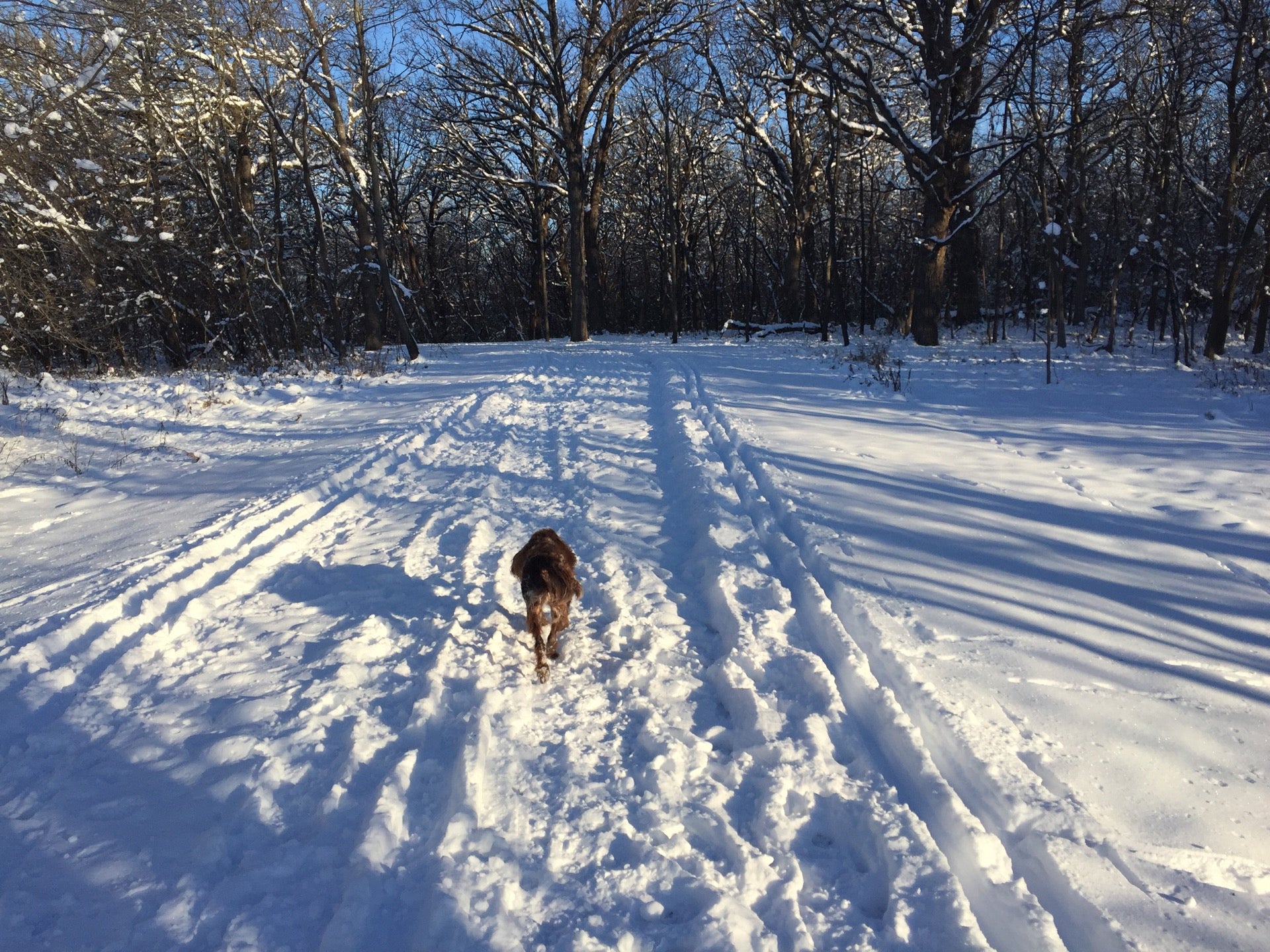 trail