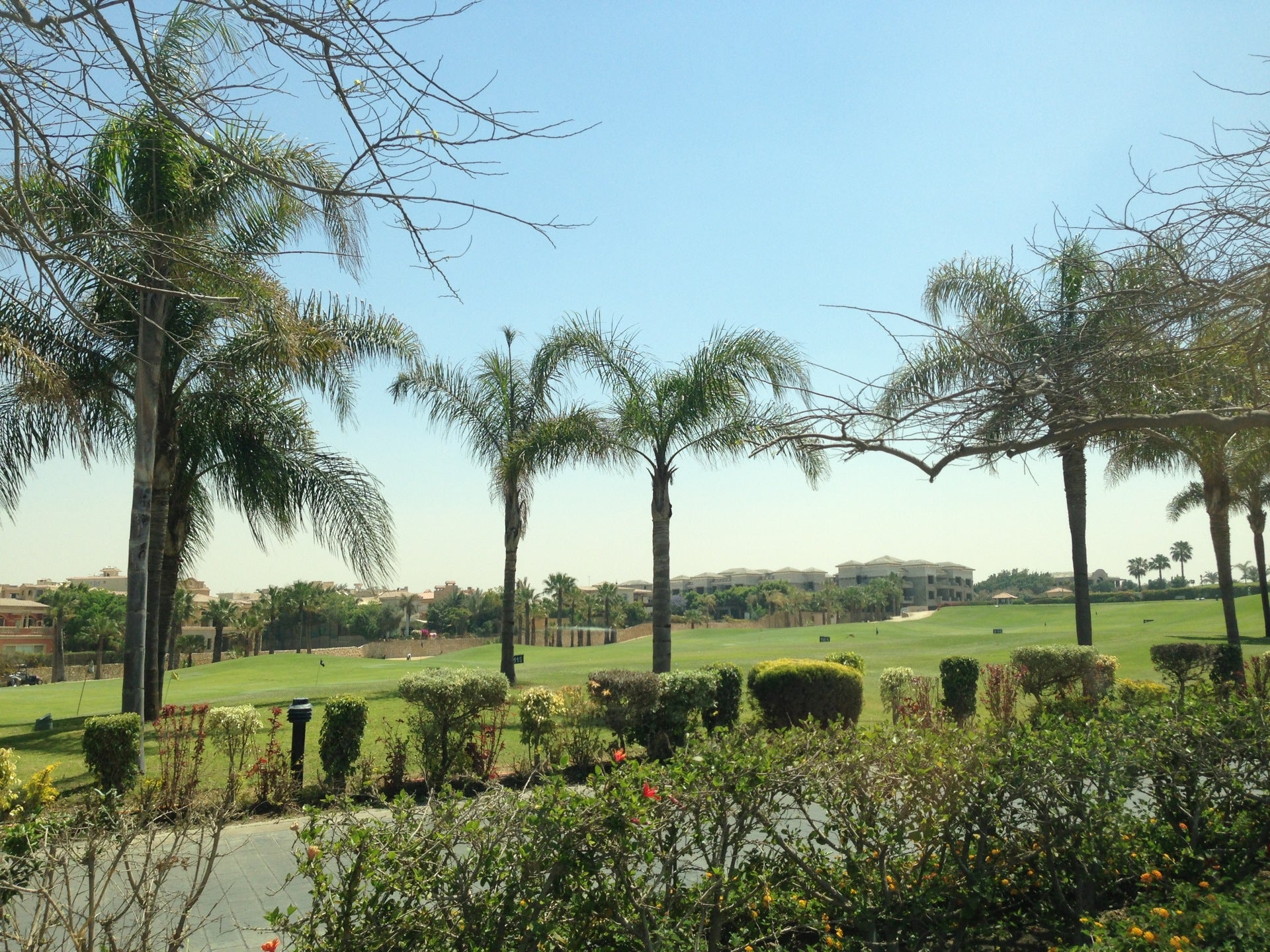 golf-course